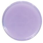 Biljna mast sa uljem lavande HERB EXTRACT 100 ml - Slika 2